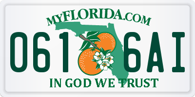 FL license plate 0616AI