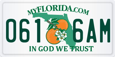 FL license plate 0616AM