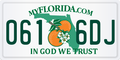 FL license plate 0616DJ