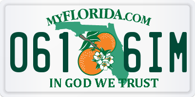 FL license plate 0616IM