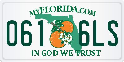 FL license plate 0616LS