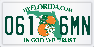 FL license plate 0616MN