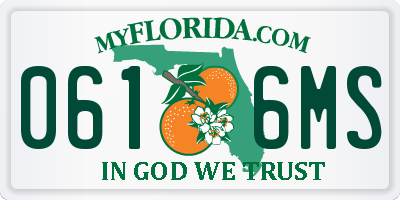 FL license plate 0616MS