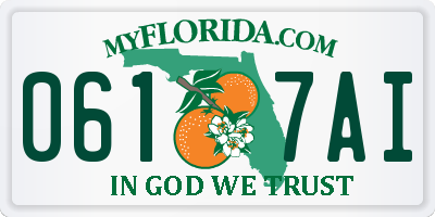 FL license plate 0617AI