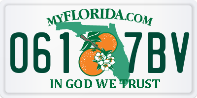 FL license plate 0617BV