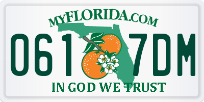 FL license plate 0617DM
