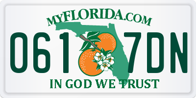 FL license plate 0617DN