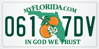 FL license plate 0617DV
