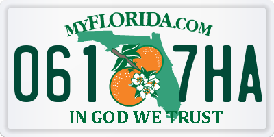 FL license plate 0617HA
