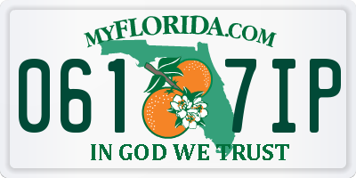 FL license plate 0617IP