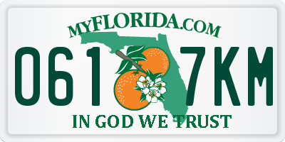 FL license plate 0617KM