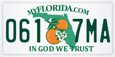 FL license plate 0617MA