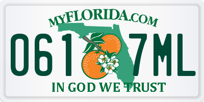 FL license plate 0617ML