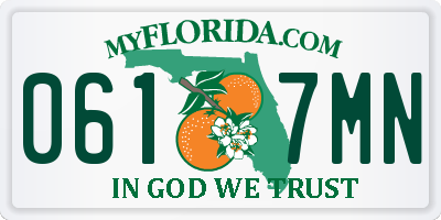 FL license plate 0617MN