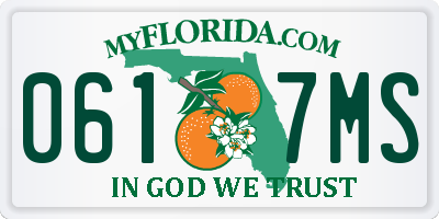 FL license plate 0617MS