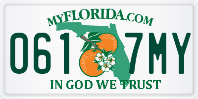 FL license plate 0617MY