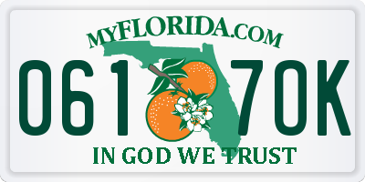 FL license plate 0617OK