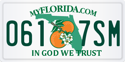 FL license plate 0617SM