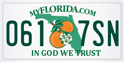 FL license plate 0617SN