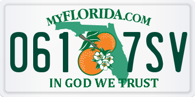 FL license plate 0617SV