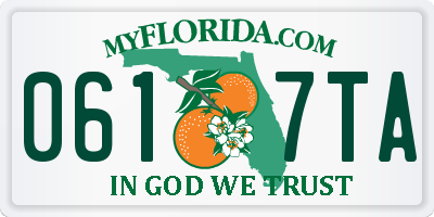 FL license plate 0617TA