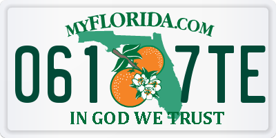 FL license plate 0617TE