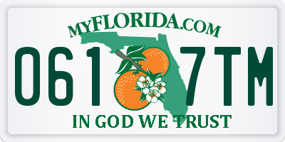 FL license plate 0617TM