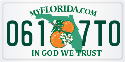 FL license plate 0617TO
