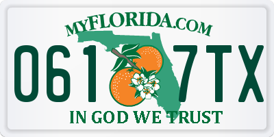 FL license plate 0617TX