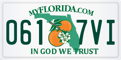 FL license plate 0617VI