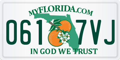 FL license plate 0617VJ