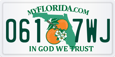 FL license plate 0617WJ