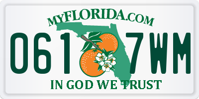 FL license plate 0617WM