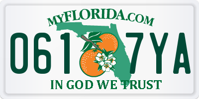FL license plate 0617YA