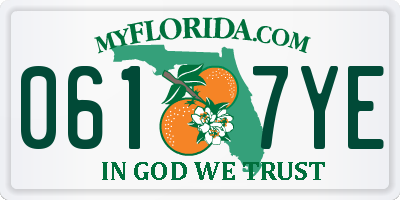 FL license plate 0617YE