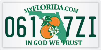 FL license plate 0617ZI