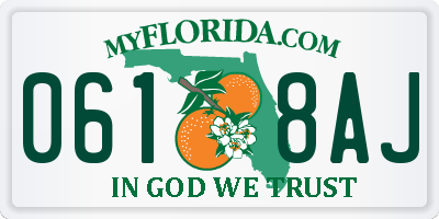 FL license plate 0618AJ