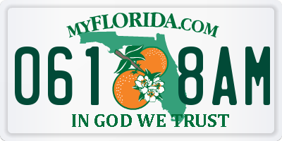 FL license plate 0618AM