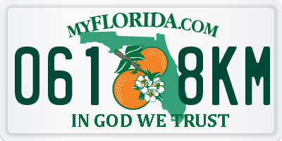 FL license plate 0618KM