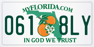 FL license plate 0618LY