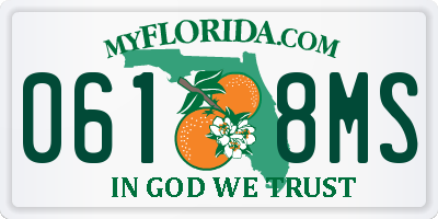 FL license plate 0618MS