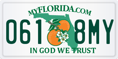 FL license plate 0618MY