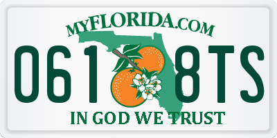 FL license plate 0618TS