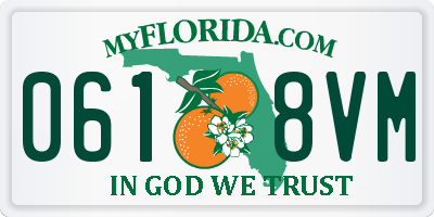 FL license plate 0618VM
