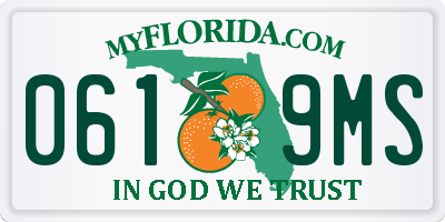 FL license plate 0619MS