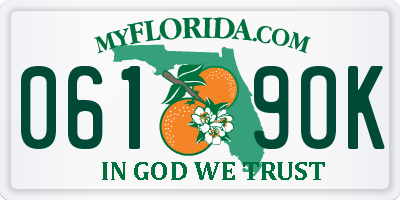 FL license plate 0619OK