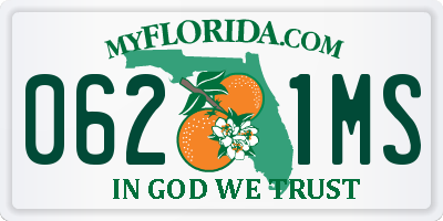 FL license plate 0621MS