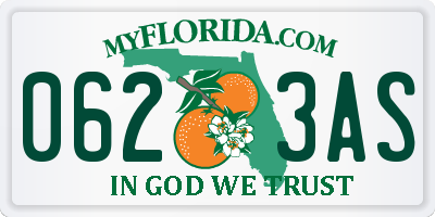 FL license plate 0623AS