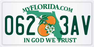 FL license plate 0623AV