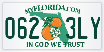 FL license plate 0623LY